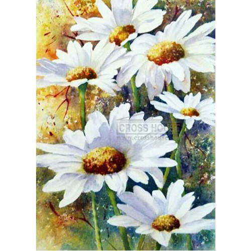 DOME 프린트패키지(170602)흰꽃