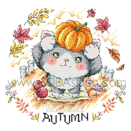 [SO-3242]가을고양이-Autumn Cat