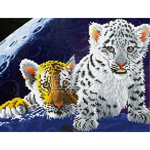 DOME 프린트패키지(290402) Baby tiger