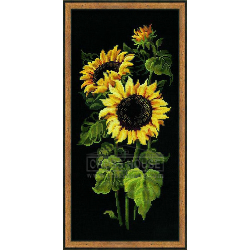 Sunflowers-1056