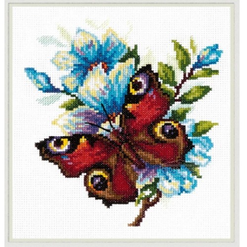 Peacock eye (butterfly)-42-09
