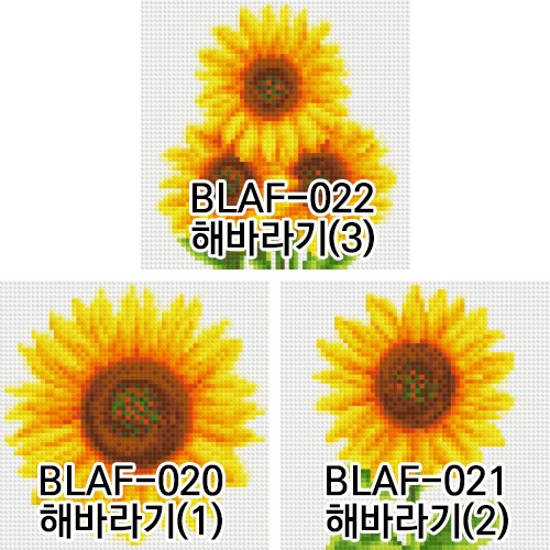 BLAF-해바라기