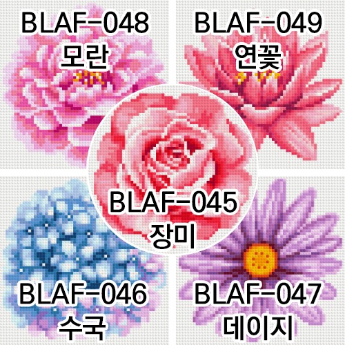 BLAF-꽃시리즈