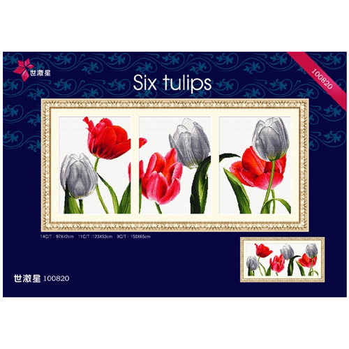 DOME 14ct패키지 (100820) Six tulips