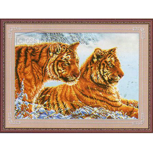 DOME 프린트패키지 (130004) Two tigers