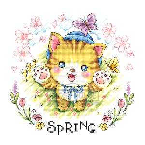 [완성수]봄고양이