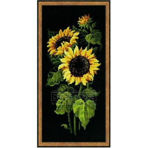 Sunflowers-1056
